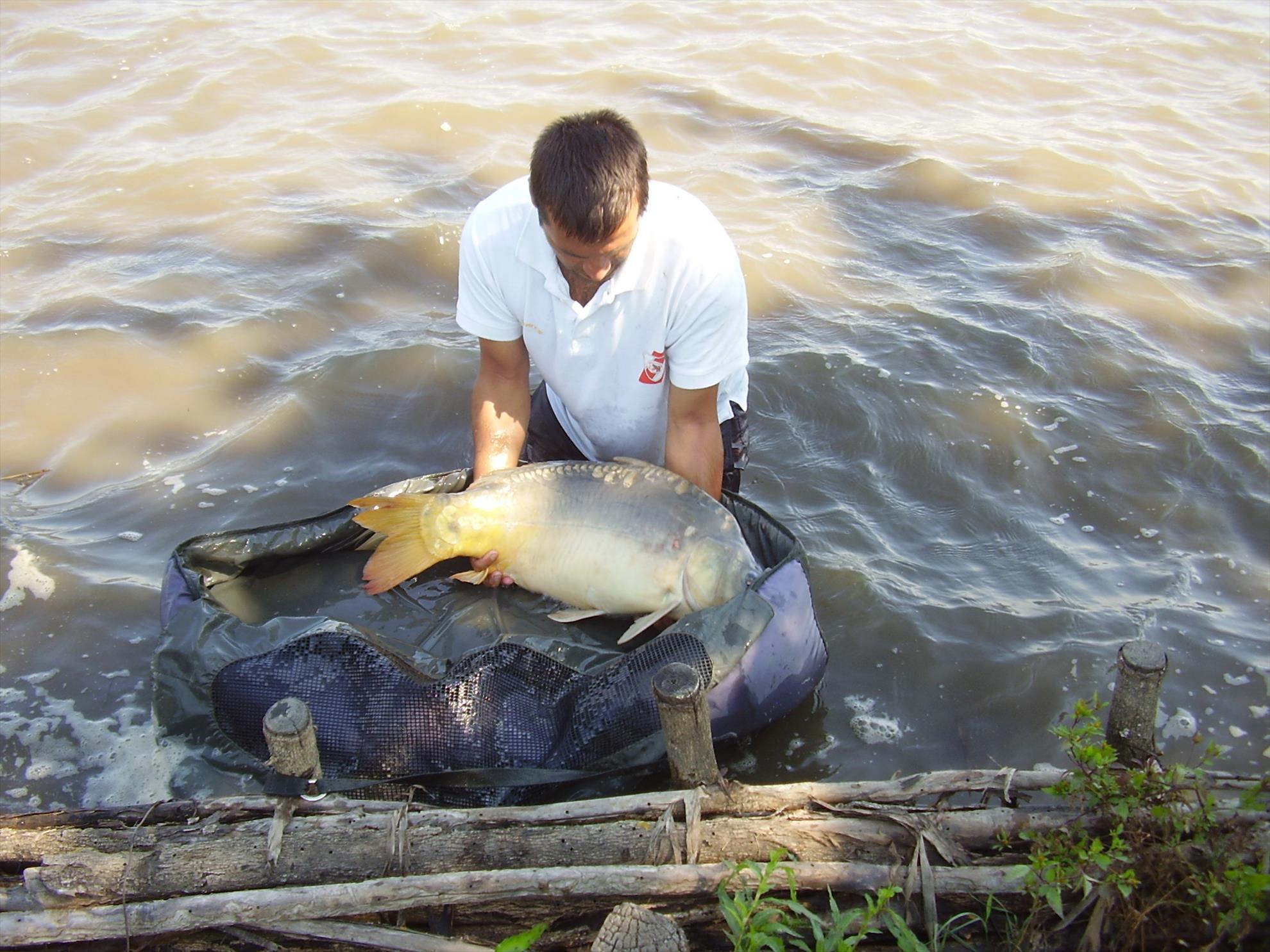 Alejandro Carp Team - Ohat Ungaria 2013 - p5060003.JPG